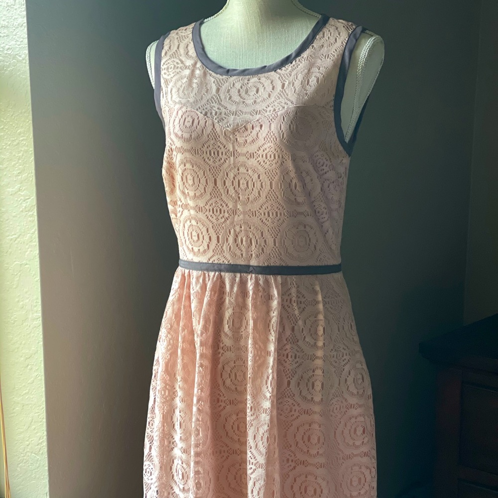 Enfocus Lace dress